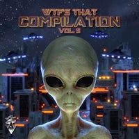 the cover of vips that compilation vol 5